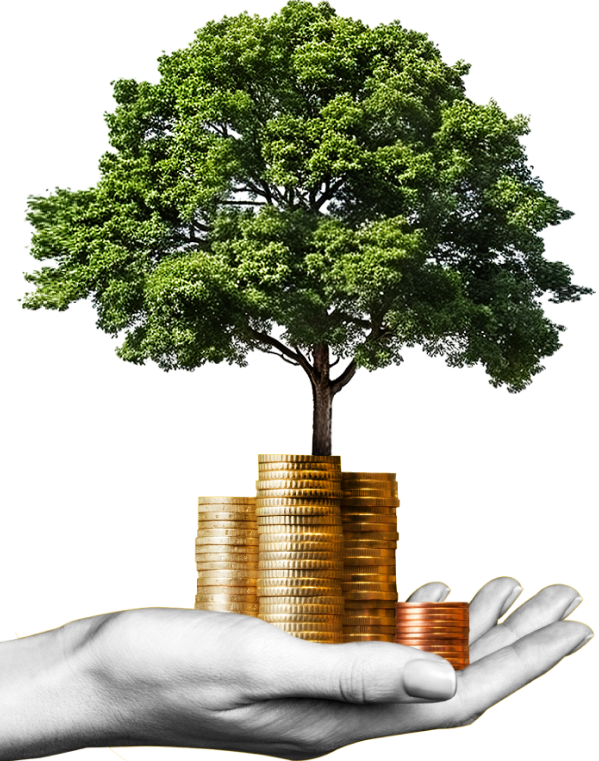 https://agwelaan.nl/wp-content/uploads/2024/09/image_group_02.png